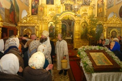 354,76 Kb [1024X683]