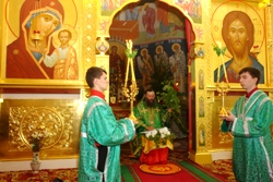 394,02 Kb [1024X683]