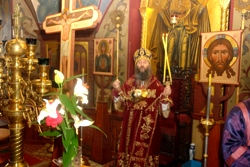 397,76 Kb [1024X683]