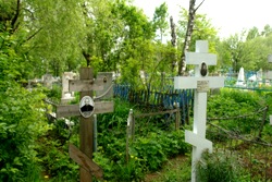 389,39 Kb [1024X683]