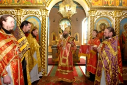 428,05 Kb [1024X683]