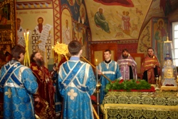 369,51 Kb [1024X683]