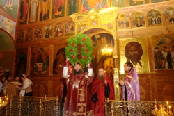 367,66 Kb [1024X683]