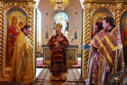 434,88 Kb [1024X683]