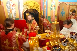 380,26 Kb [1024X683]