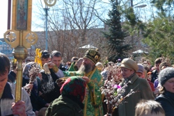 440,15 Kb [1024X683]