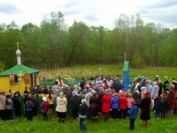 339,64 Kb [1024X768]