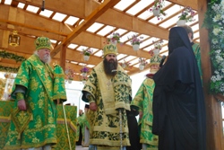 382,48 Kb [1024X683]