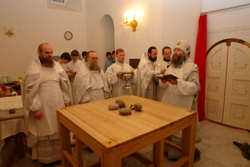 368,49 Kb [1024X683]