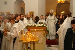 350,53 Kb [1024X683]