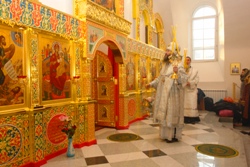 374,01 Kb [1024X683]