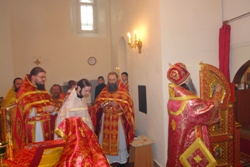 338,74 Kb [1024X683]