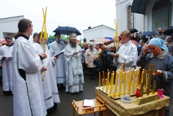 400,61 Kb [1024X683]