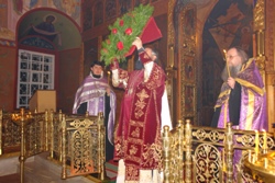 369,47 Kb [1024X683]