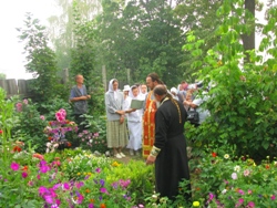 187,48 Kb [1024X768]