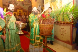 361,07 Kb [1024X683]