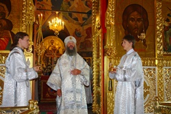 384,73 Kb [1024X683]