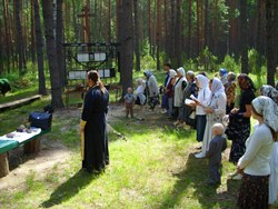 В Мендурском лесу